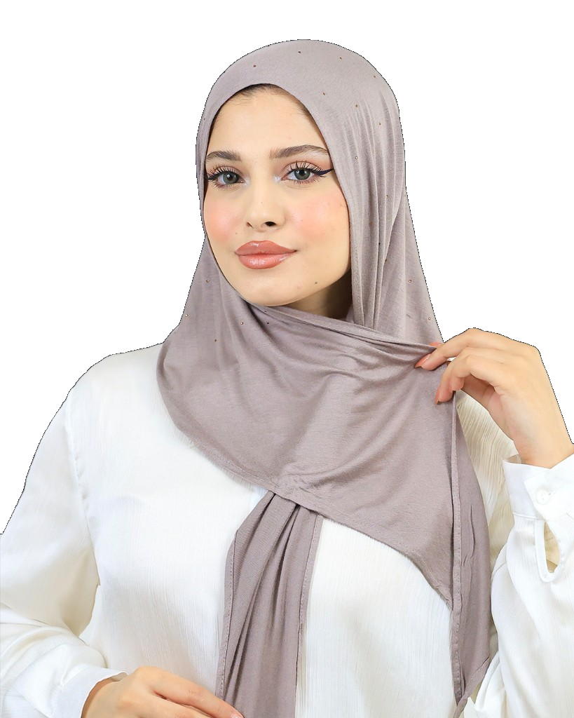 الشيلات
